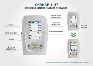 СКЭНАР-1-НТ (исполнение 01)  в Химках купить Медицинский интернет магазин - denaskardio.ru 